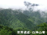 白神山地